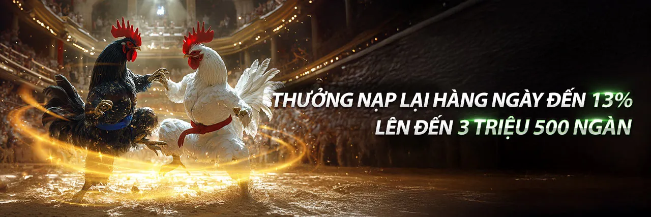 Đá Gà Trực Tuyến Hấp Dẫn tại 286bet Win