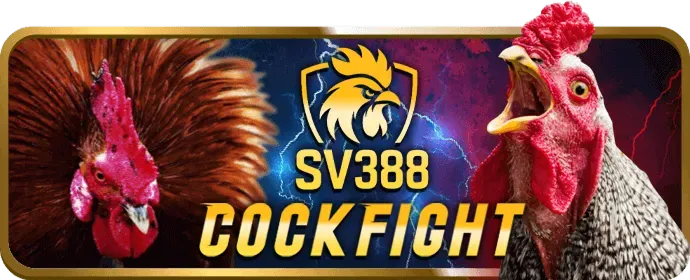Bảo mật 286bet win